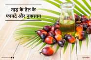 Palm Oil Benefits And Side Effects In Hindi 