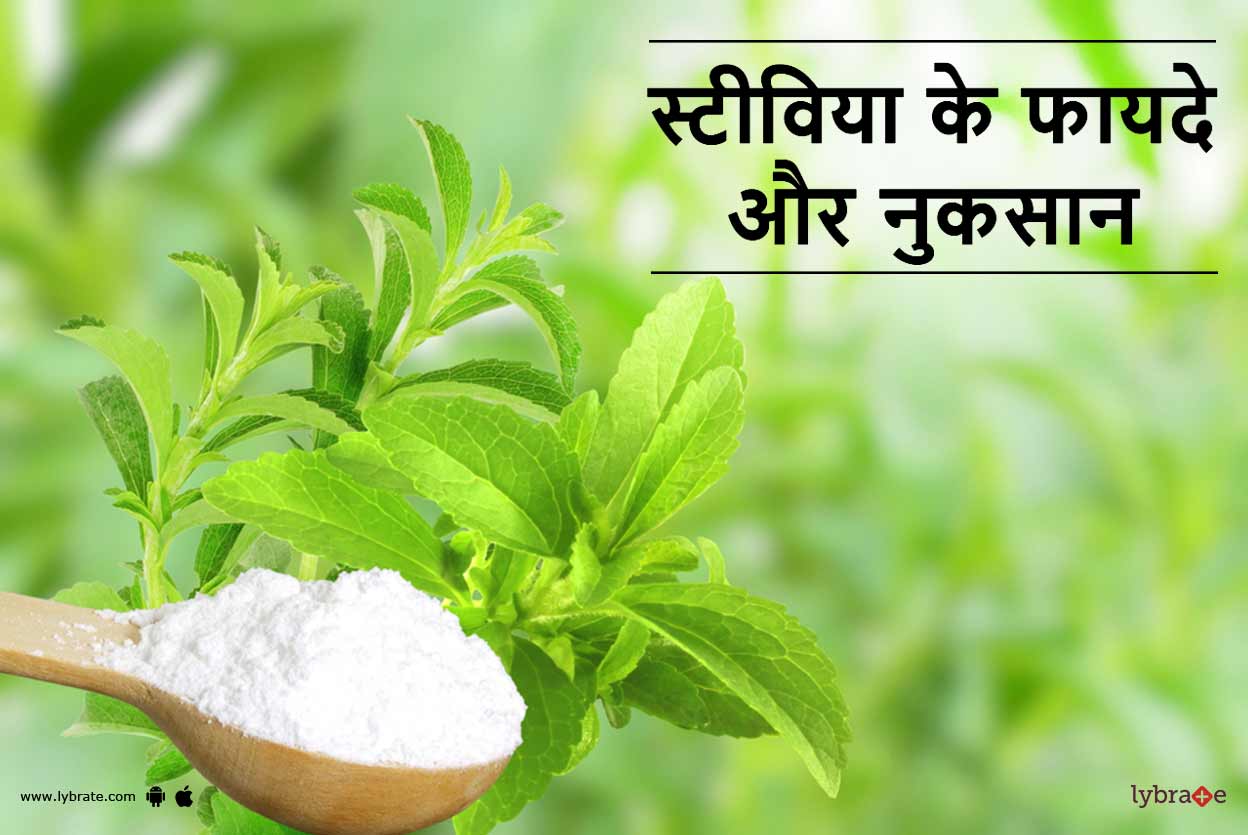 Stevia Benefits and Side Effects in Hindi स्टीविया के फायदे और नुकसान