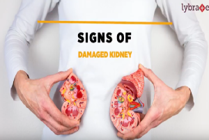 A few signs can be quite helpful in early detection of a damaged kidney such as foamy urine, loss...