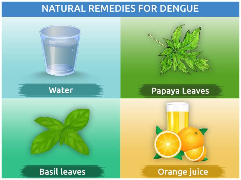 Ayurvedic Home Remedies For Dengue Fever By Dr. Sandip Patel Lybrate