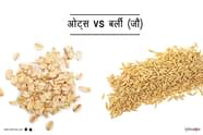  Oats Vs Barley In Hindi Lybrate