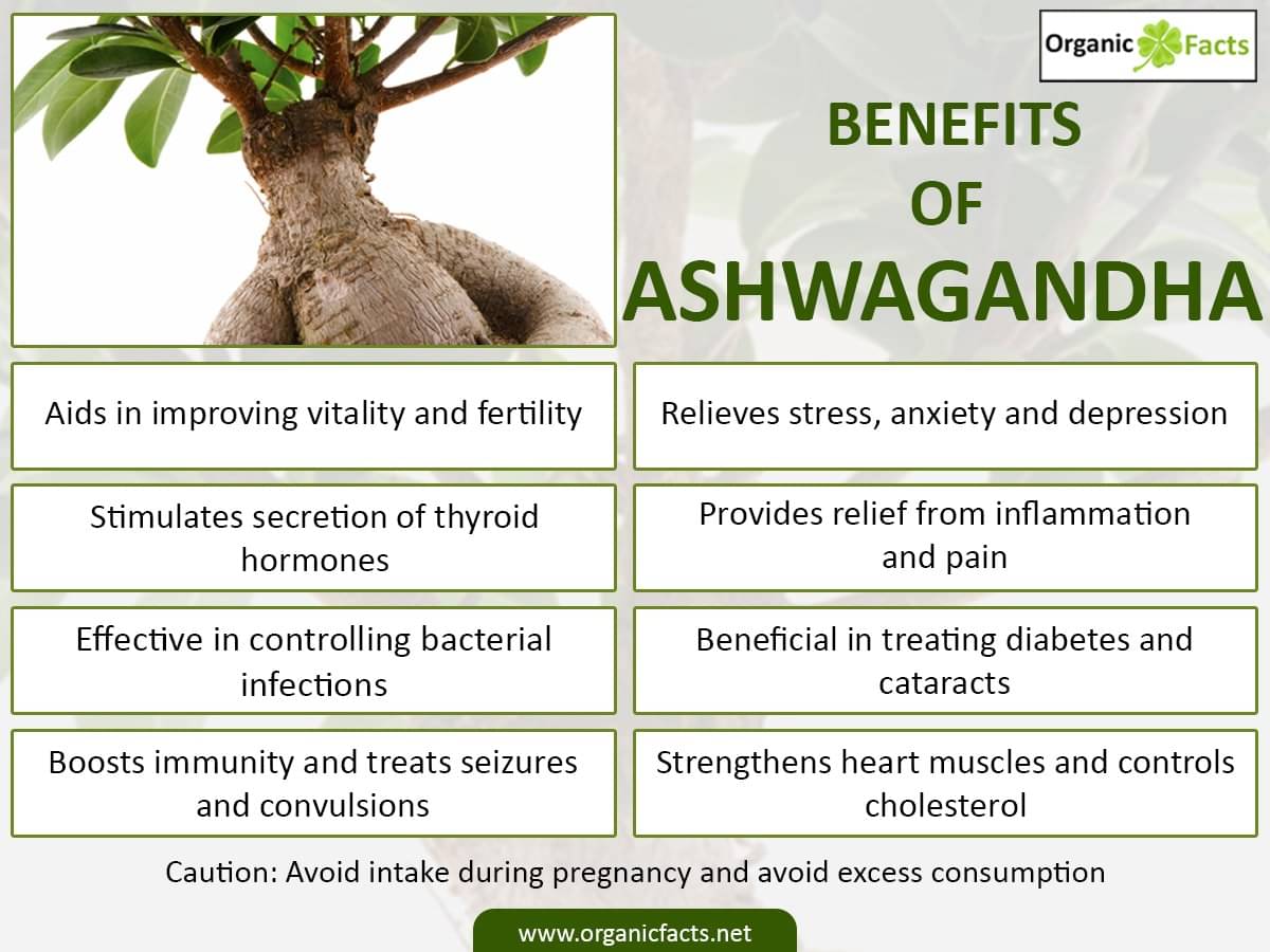 Ashwagandha uses and benefits nightfall