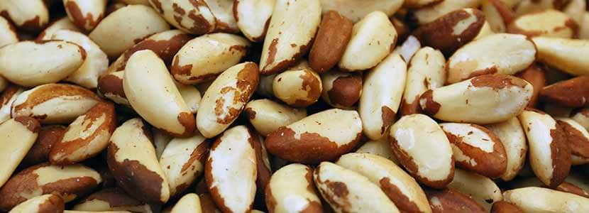 20+ Brazil Nuts Selenium Overdose Pictures