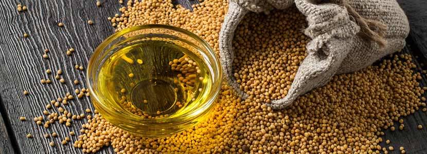 Benefits Of Mustard Oil And Its Side Effects Lybrate benefits of mustard oil and its side