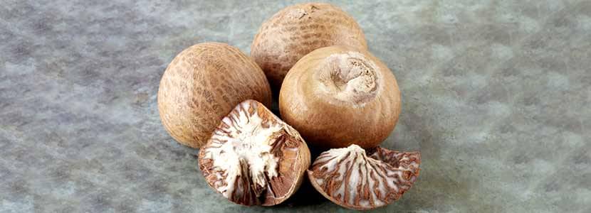 maycintadamayantixibb-betel-nut-meaning-in-hindi