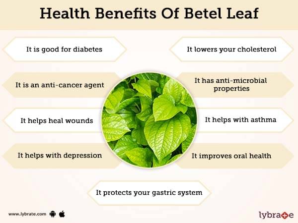 Betel Leaf Benefits