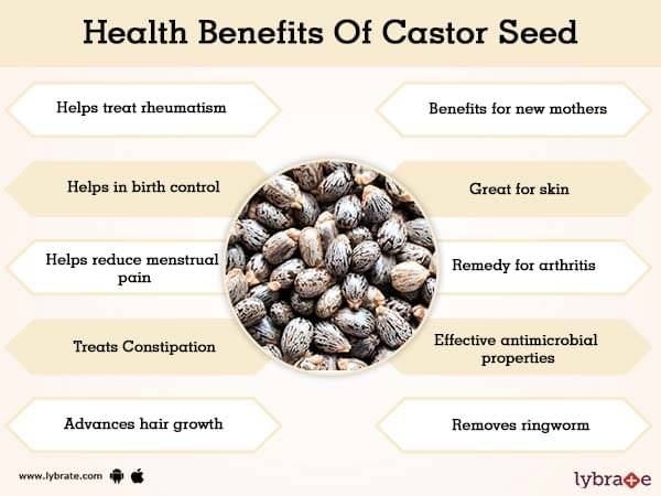 benefits-of-castor-seed-and-its-side-effects-lybrate