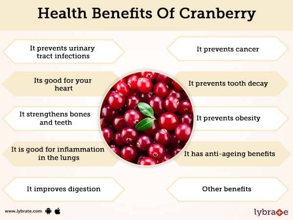 Cranberry Benefits And Its Side Effects  Lybrate