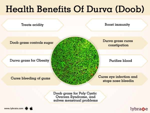 Durva Doob Grass Benefits Lybrate