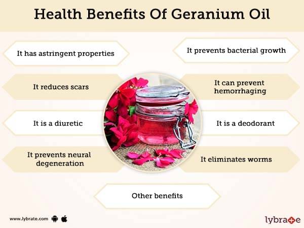 geranium rose oil benefits