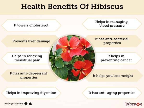 Hibiscus Benefits And Its Side Effects | Lybrate