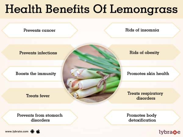 Benefits of Lemongrass And Its Side Effects | Lybrate