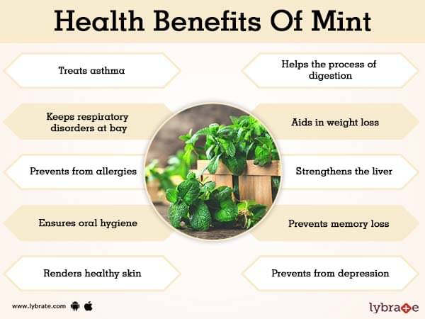 having-mint-during-pregnancy-pros-and-cons-you-should-be-aware-of