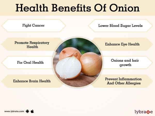 Health Benefits Onions Nutrients Royalty Free Vector Image, 48% OFF