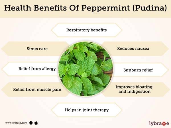 peppermint plant benefits