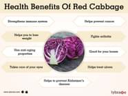 Benefits Of Red Cabbage And Its Side Effects Lybrate