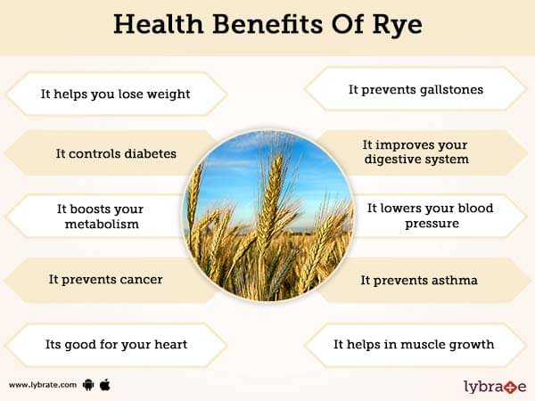 Rye Benefits And Its Side Effects | Lybrate