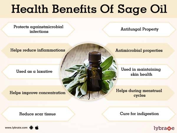 Benefits of Sage Oil And Its Side Effects | Lybrate