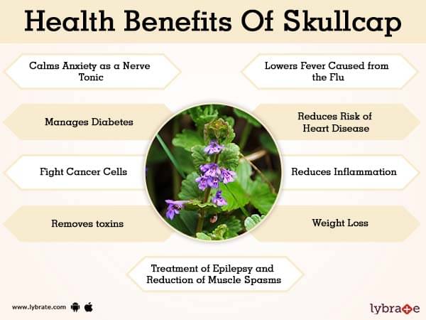 Benefits Of Skullcap And Its Side Effects Lybrate