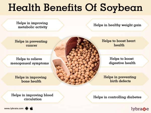 Benefits of Soybean And Its Side Effects | Lybrate