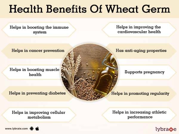 benefits-of-wheat-germ-and-its-side-effects-lybrate