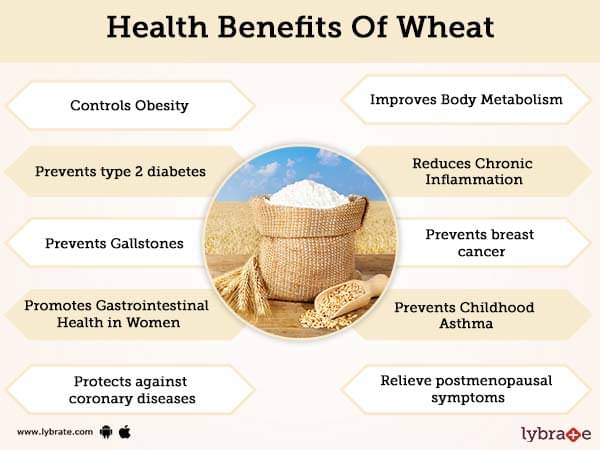 Wheat Benefits And Its Side Effects Lybrate