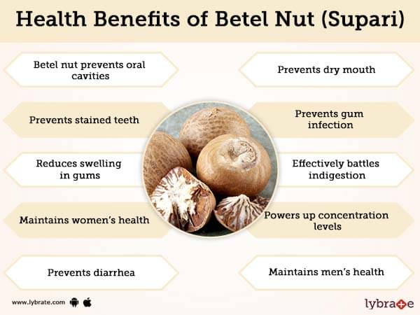 Betel Nut (Supari) Benefits And Its Side Effects  Lybrate