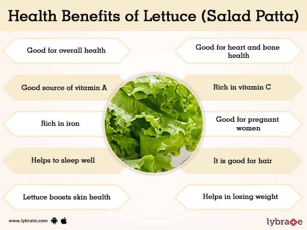 Lettuce (Salad Patta) Benefits And Its Side Effects | Lybrate