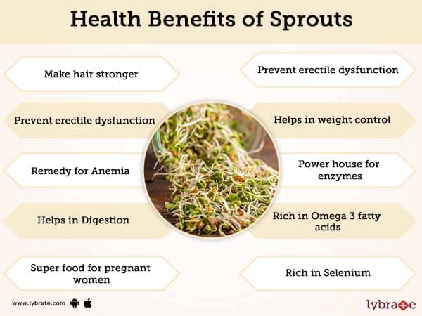 bean sprouts while pregnant