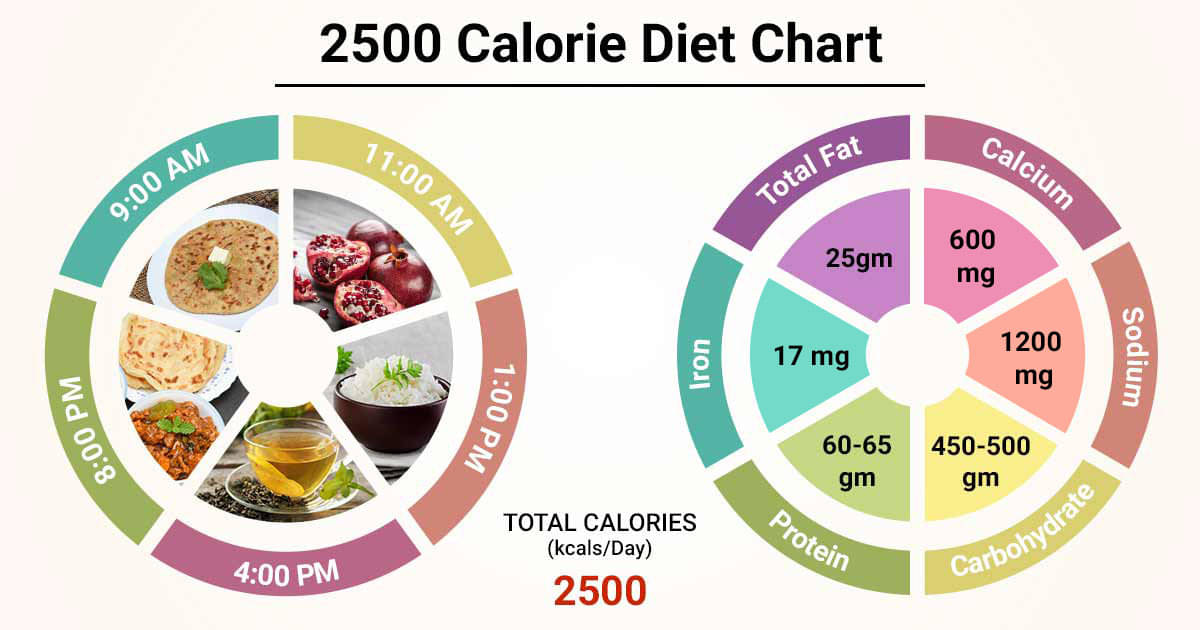 Diet Chart For 2500 Calorie Patient 2500 Calorie Diet Chart Lybrate