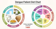 Dengue Chart