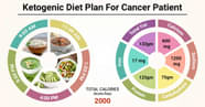 Diet Chart For Ketogenic Cancer Patient Ketogenic Diet Cancer Chart