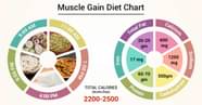 Diet Chart For Muscle Gain Patient Muscle Gain Diet Chart Lybrate 