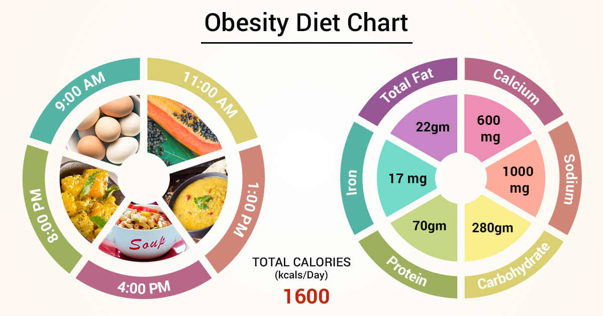 Diet Chart For Overweight Lady