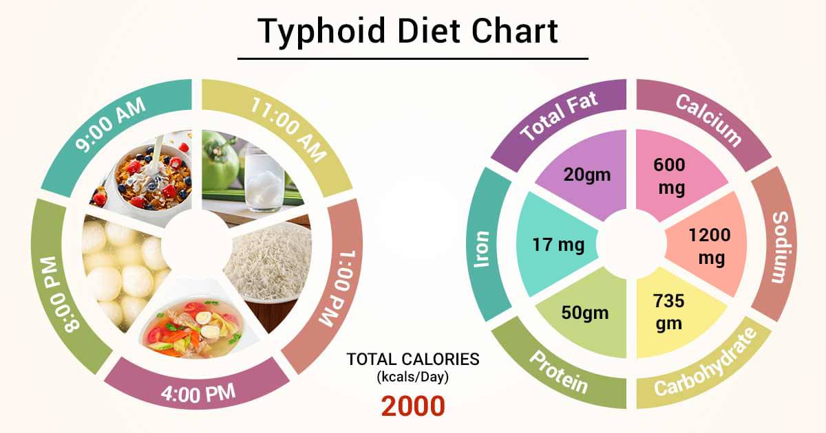 diet-chart-for-typhoid-patient-typhoid-diet-chart-lybrate