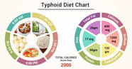 Diet Chart For Typhoid Patient Typhoid Diet Chart Lybrate 