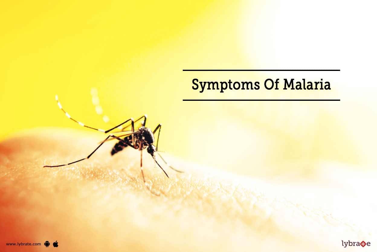 Symptoms Of Malaria: First Signs When You Might Be Having Malaria