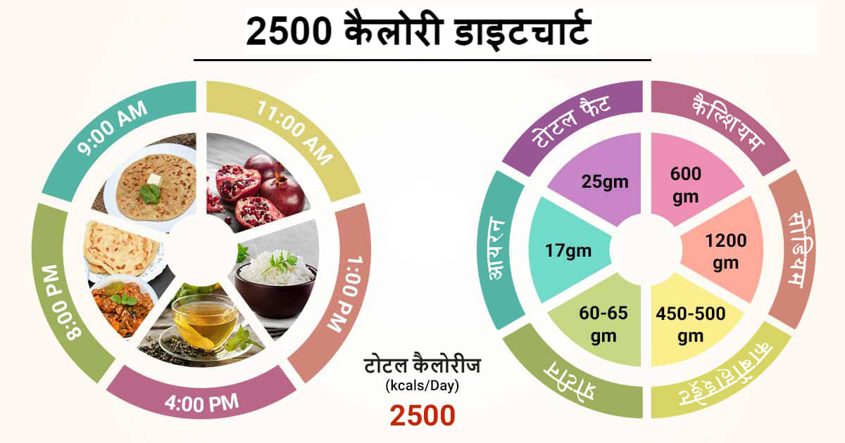 जानें 2500 कैलोरी डाइट चार्ट - 2500 Calorie Diet Chart In Hindi के ...