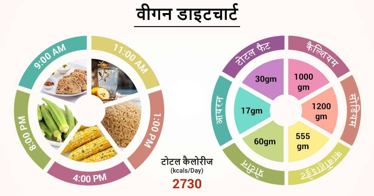 vegan food essay in hindi