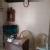 Dhanvantari Hospital (The Back Pain Clinic) Image 3