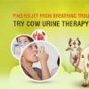 Jain's Cow Urine Therapy Health Clinic Image 2