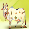 Jain's Cow Urine Therapy Health Clinic Image 3