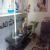 PNL General and advanced diabetic centre with Grace Dental Clinic Image 5