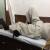 Pain Free Physiotherapy Clinic Image 5