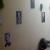 Precious Apex Dental Care & homoeopathic care Image 3