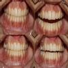 Bhandari Dental Clinic Image 8
