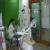 Dr. Gupta's Dental & Braces Clinic Image 7