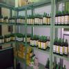 Ayushkamiya Multispacility Ayurvedic & Panchkarma Hospital & Allergy Diagnostic Lab Image 8