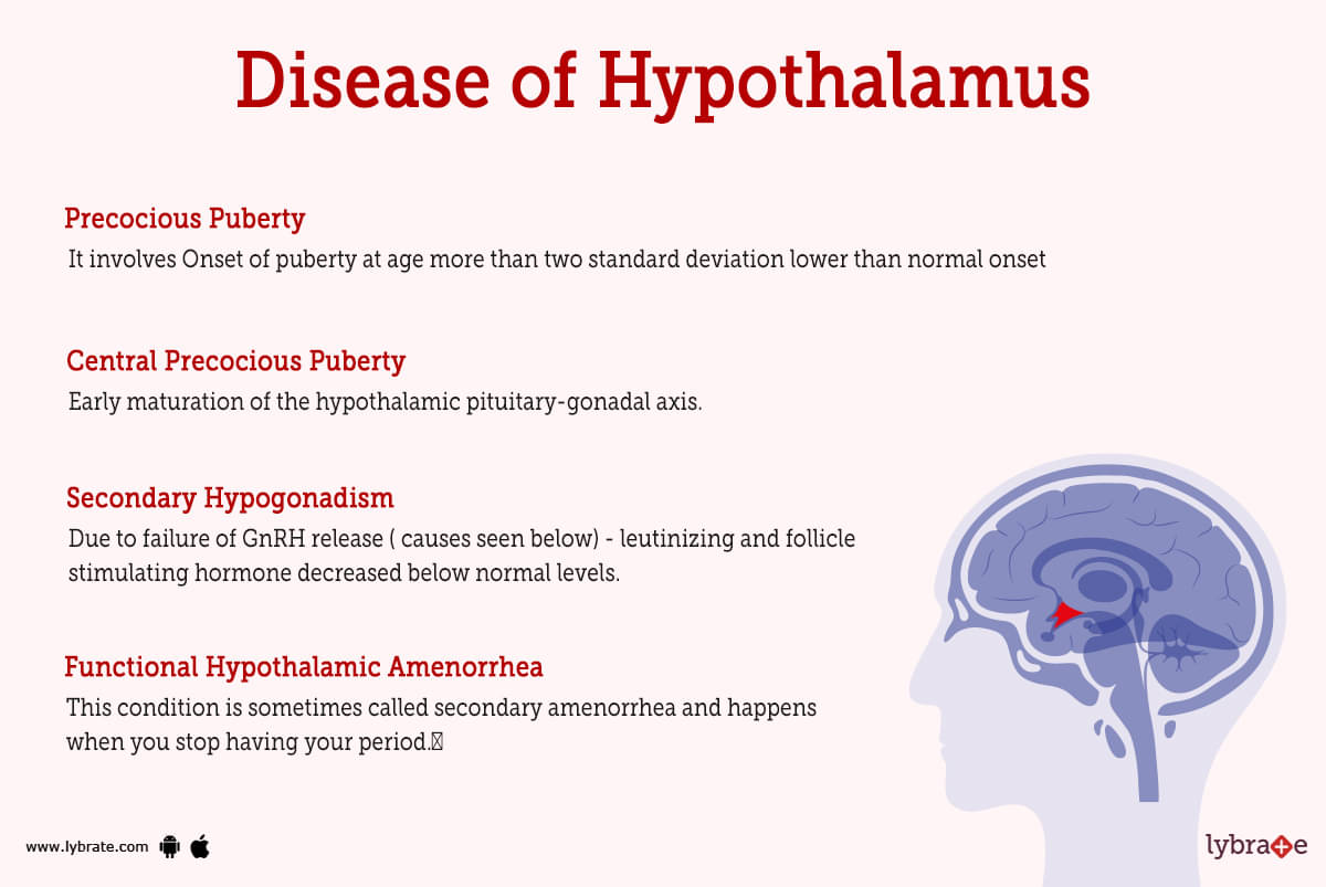 hypothalamus hormone