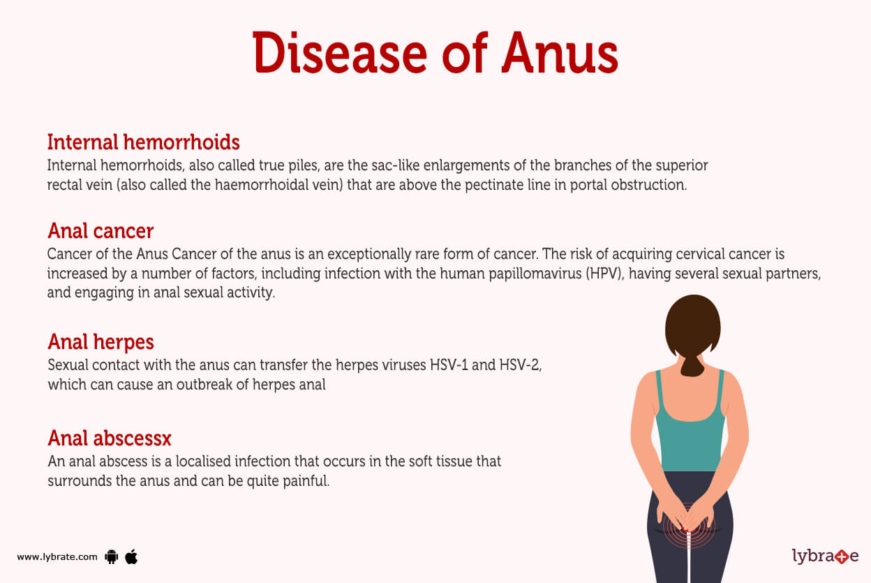 Anus (Human Anatomy) Picture, Function, Diseases, Tests, and Treatments